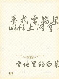 台式电脑用随身wifi上网会不会很卡