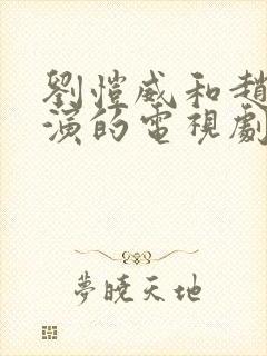 刘恺威和赵丽颖演的电视剧叫什么封面