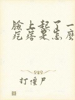 脸上起了一些小疙瘩是怎么回事