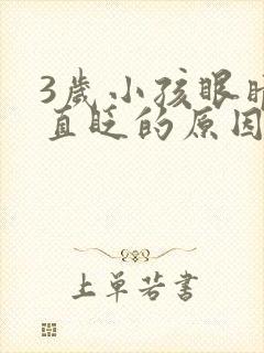 3岁小孩眼睛一直眨的原因