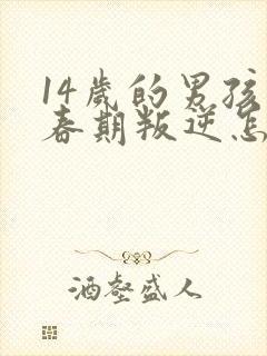 14岁的男孩青春期叛逆怎么办