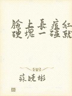 脸上长痘红肿有硬块一碰就疼