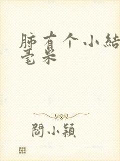 肺有个小结节4毫米