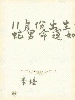 11月份出生的蛇男命运如何封面