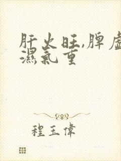 肝火旺,脾虚,湿气重