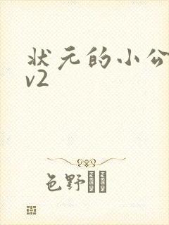 状元的小公主1v2封面