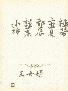 小说都市极品医神叶辰夏若雪无弹窗