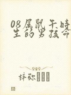 08属鼠午时出生的男孩命运封面
