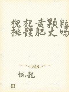 槐杞黄颗粒治扁桃体肥大吗