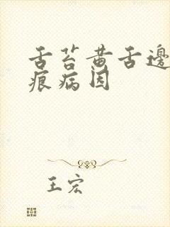 舌苔黄舌边有齿痕病因