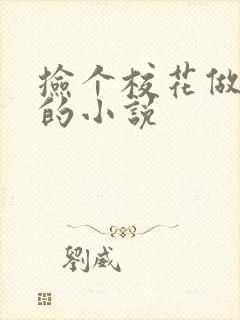 捡个校花做老婆的小说