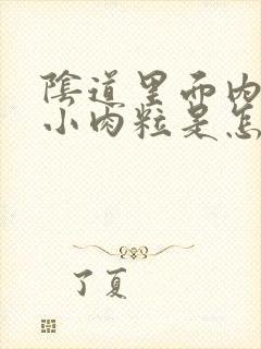 阴道里面内长些小肉粒是怎么回事啊