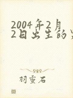 2004年2月2日出生的男孩命运
