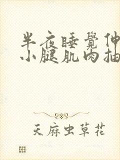 半夜睡觉伸懒腰小腿肌肉抽筋