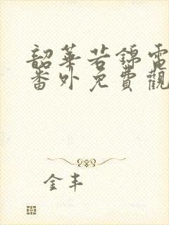 韶华若锦电视剧番外免费观看封面