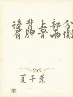 后背上部分脊椎肩胛骨两侧痛