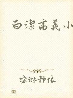 白洁高义小说封面