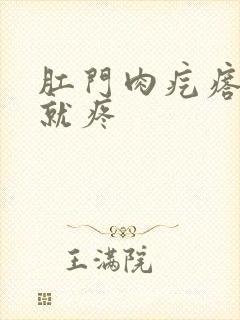 肛门肉疙瘩一碰就疼封面