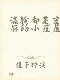 满脸都是密密麻麻的小痘痘用什么药