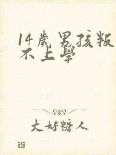 14岁男孩叛逆不上学封面