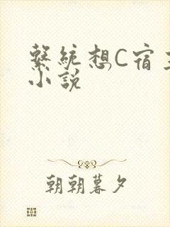 系统想C宿主的小说