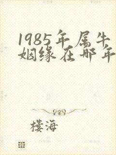 1985年属牛姻缘在哪年