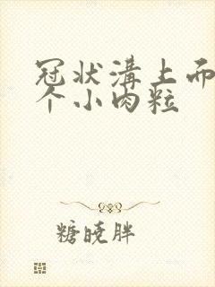 冠状沟上面长几个小肉粒