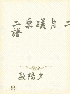 二泉映月 二胡谱