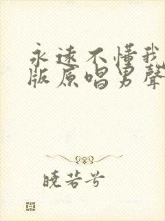 永远不懂我dj版原唱男声