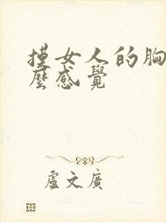 摸女人的胸是什么感觉