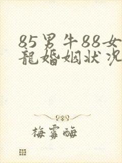 85男牛88女龙婚姻状况封面