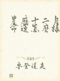 农历十二月的羊命运怎么样