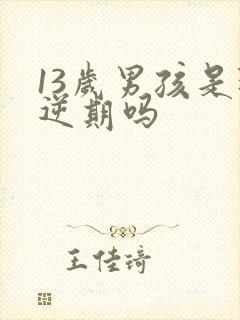 13岁男孩是叛逆期吗