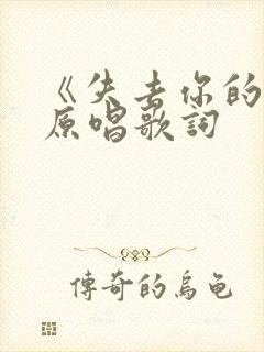 《失去你的我》原唱歌词