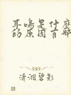 耳鸣是什么引起的原因有哪些