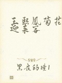 王熙凤菊花门初迎来客封面