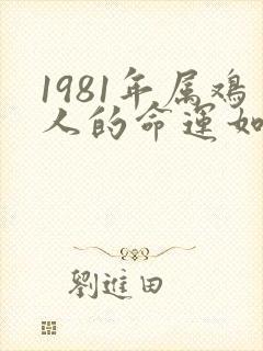 1981年属鸡人的命运如何