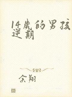 14岁的男孩叛逆期