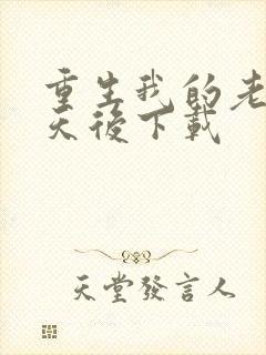 重生我的老婆是天后下载封面