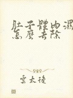 肚子体内湿气重怎么去除封面