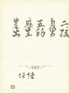 农历五月二十六出生的男孩命运好吗