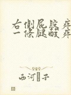 右侧屁股疼连着一条腿酸疼怎么回事封面