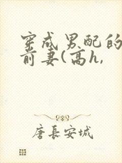 穿成男配的炮灰前妻(高h,