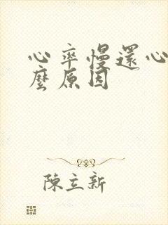 心率慢还心慌什么原因封面