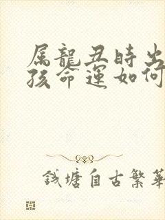 属龙丑时出生男孩命运如何