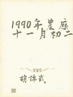 1990年农历十一月初二什么命
