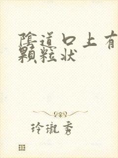 阴道口上有白色颗粒状封面