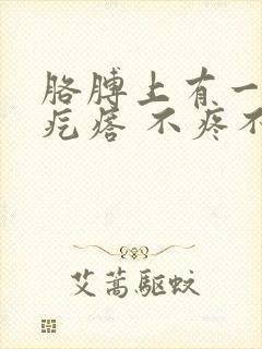 胳膊上有一些小疙瘩 不疼不痒