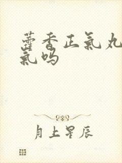 藿香正气丸去湿气吗