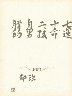 腊月二十七出生的男孩命运